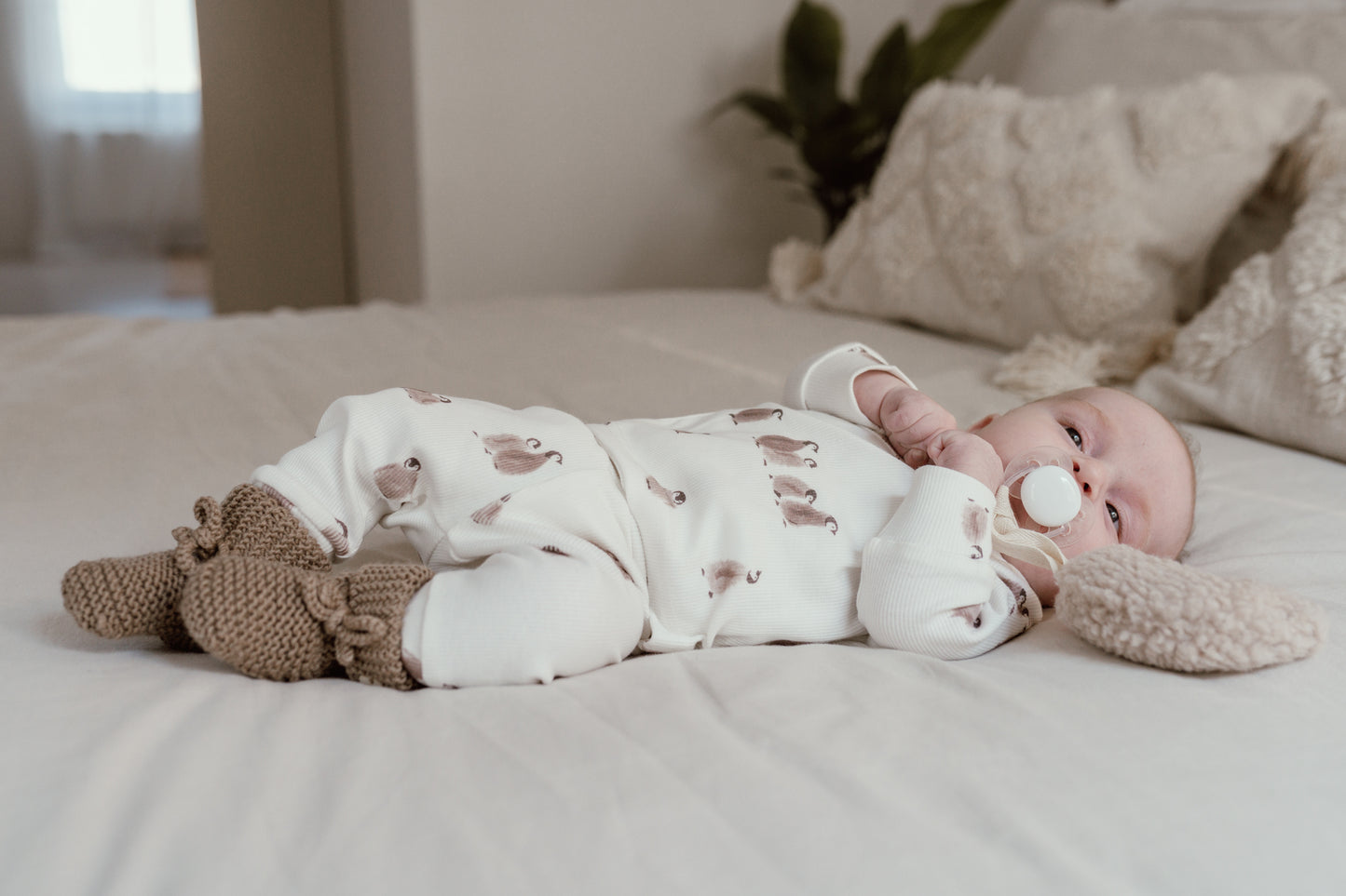 Baby Jumpsuit Rib Labradoodle Creme