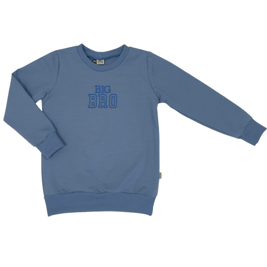 Geborduurde Baby en Kids Sweater Blauw Big Bro