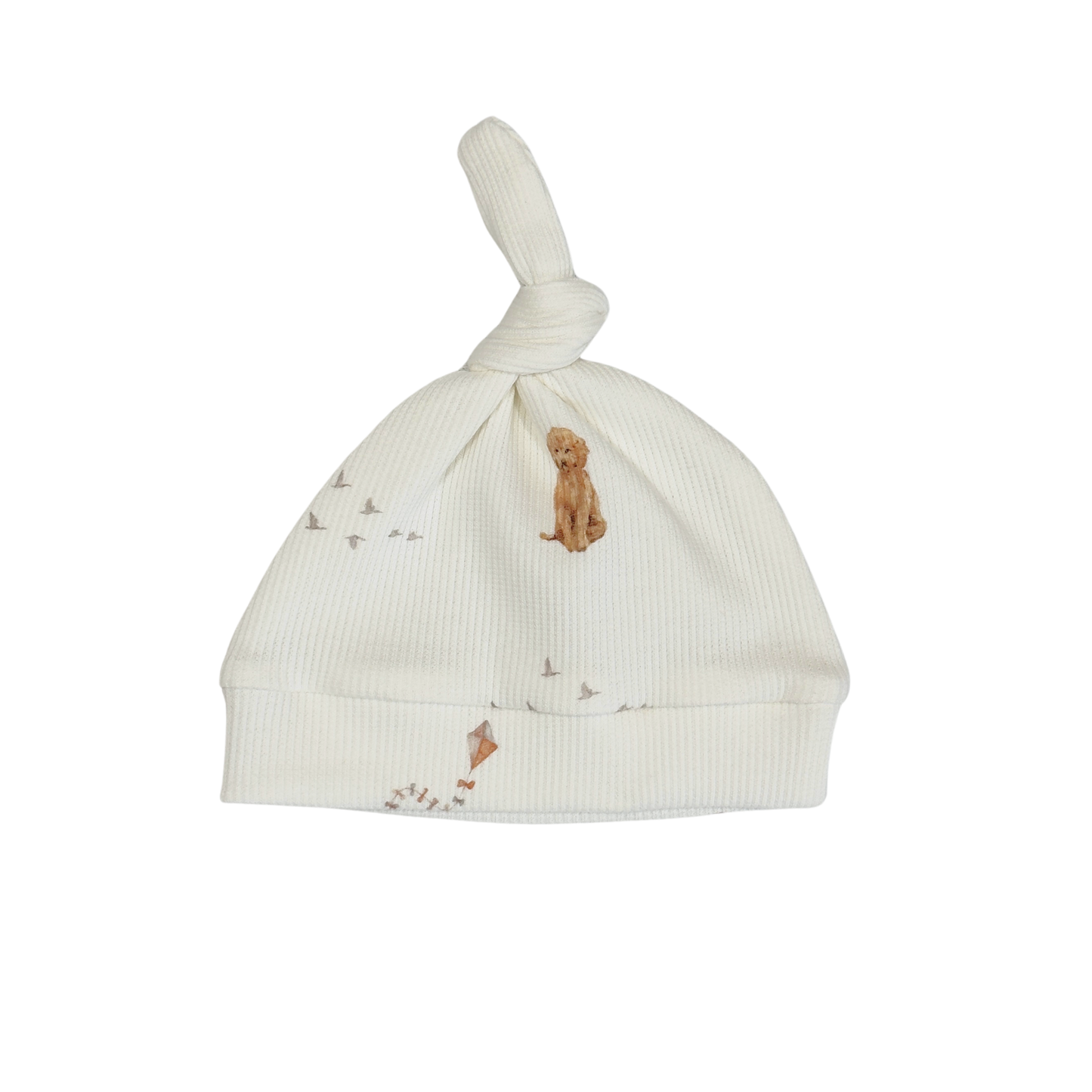 Baby Newborn Mutsje Labradoodle