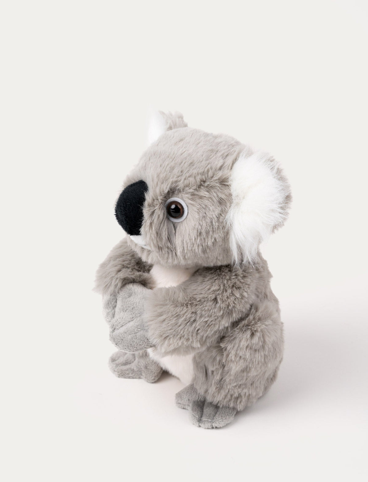 Dreamies, Koala - Teddykompaniet
